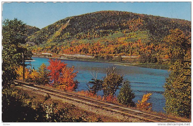 Riviere Restigouche pres CAMPBELLTON , New Brunswick , Canada , 1977