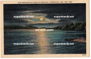 Menteh's Point By Moonlight, Canandaigua Lake NY