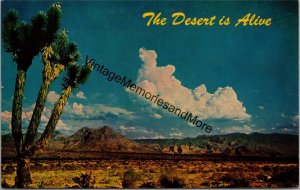 The Desert is Alive Vintage Postcard PC340