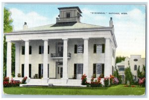 c1930's Building Entrance D'Evereux Natchez Mississippi MS Vintage Postcard