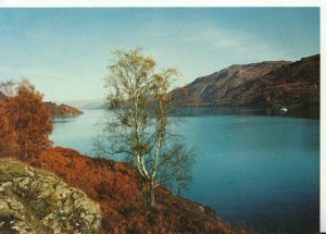 Scotland Postcard - Loch Ness - Inverness-shire - Ref TZ8209