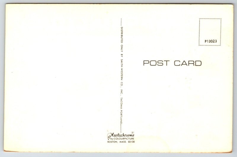 State Maps~Greetings From Washington~Tacoma~Walla~Bellingham~Vintage Postcard