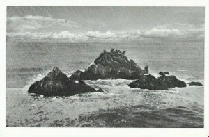 Seal Rocks San Francisco Waterfront   CA Unposted Vtg Bardell Card 3.5x5.5