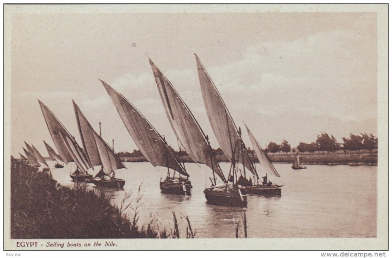 EGYPT, 1900-1910´s; Sailing Boats On The Nile