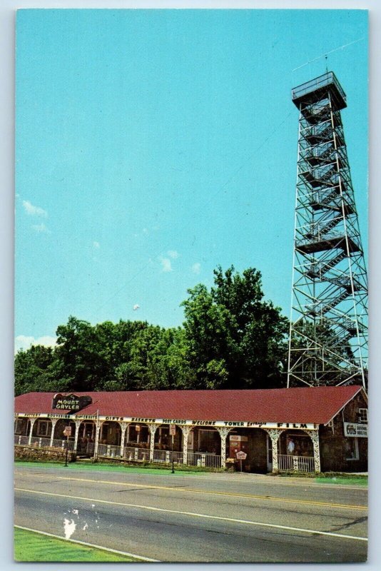 Fayetteville Arkansas Postcard Mount Gayler Tower Boston Mountains c1960 Vintage