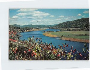 Postcard Route 5, Vermont