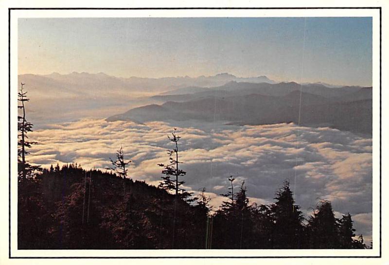 North Point Lookout - Sol Duc Valley