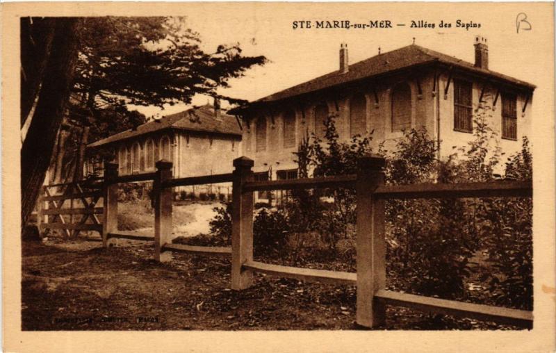 CPA Ste-Marie-sur-Mer - Allees des Sapins (587982)