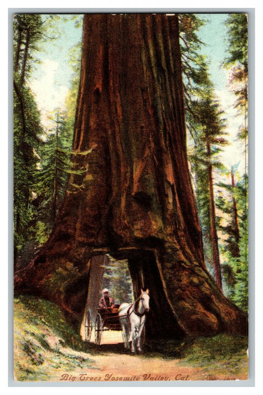 Big Trees Yosemite Valley CA Vintage Standard View Postcard Cabin Horse & Buggy 