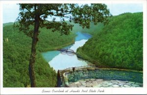 Postcard WV - overlook at Hawk's Nest State Park