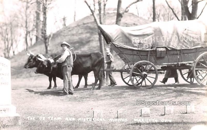 Ox Team and Historical Mound - Marietta, Ohio