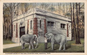 J77/ Memphis Tennessee Postcard c1910 Elephant Zoo Overton Park 152