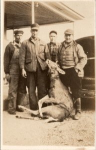 VA Hunting Scene Men Holding Up Large Dead Deer Shenandoah Postcard X18