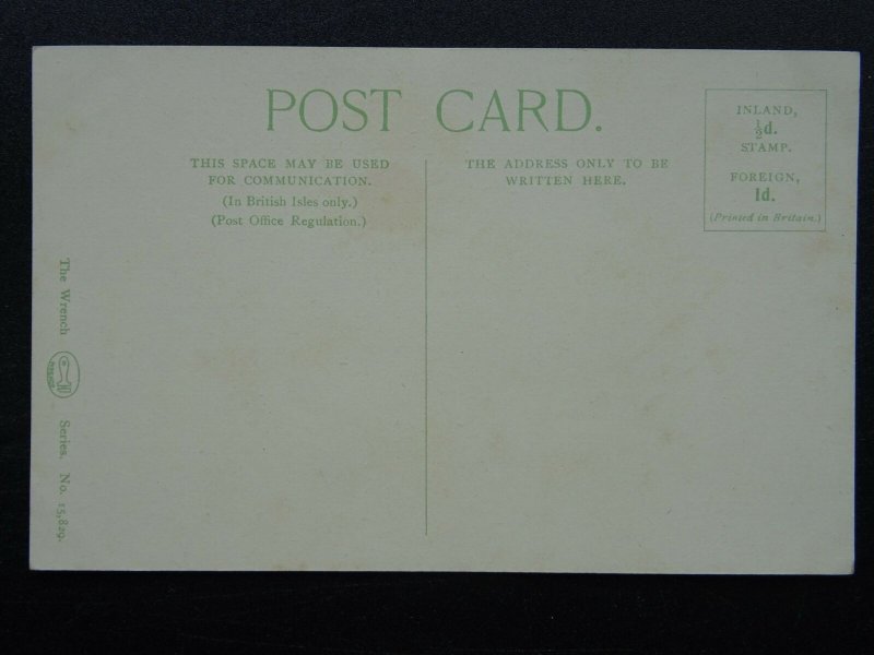 Wales ABER Ty Newydd c1905 Postcard by Wrench 15829