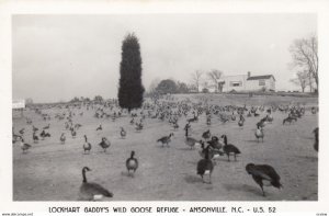 RP: ANSONVILLE , North Carolina , 1940s ; Gaddy's Wild Goose Refuge #2
