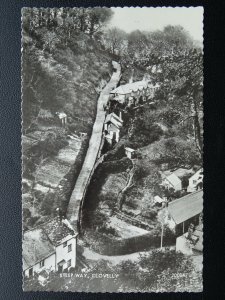 Devon CLOVELLY Steep Way - Old RP Postcard by Valentine 200847