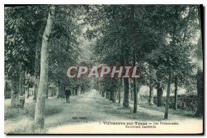 Old Postcard Villeneuve sur Yonne Les Promenades Boulevard Gambetta