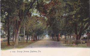 Florida Daytona Orange Avenue Rotograph