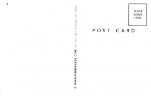 Reproduction Nude Nude Unused 