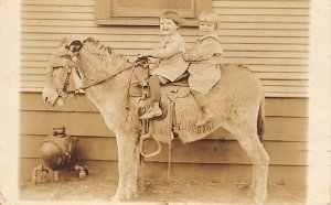 Black and White Photo Donkey Postal Used Unknown real photo