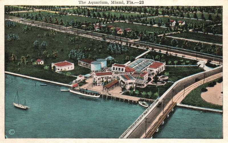 Vintage Postcard The Aquarium Tourist Attraction Miami Florida E.C. Kropp Pub. 