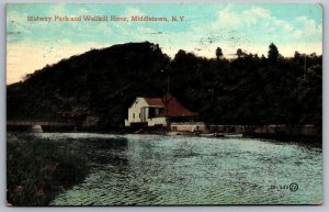 1910's Midway Park and Wallkill River Middletown New York NY Posted Postcard