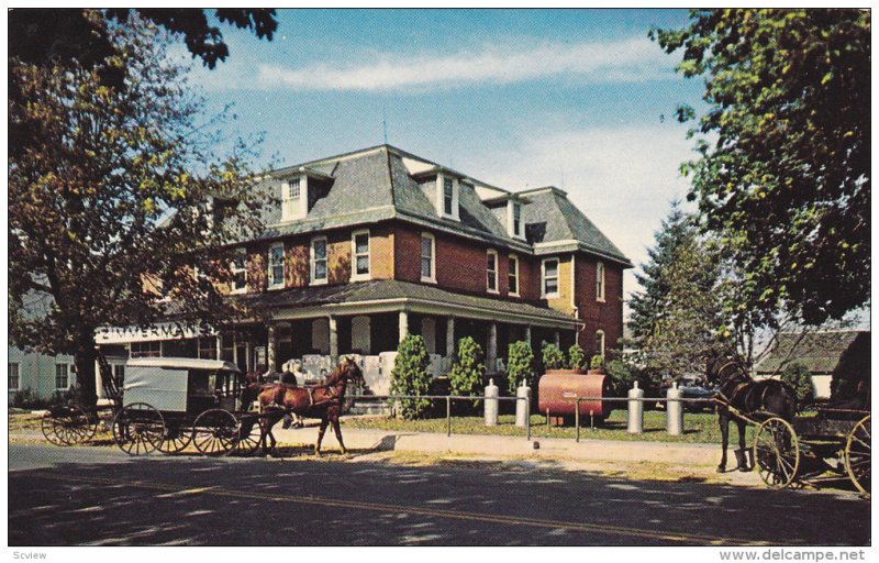 Amish Country, Amish Wagons, General Store, INTERCOURSE, Pennsylvania, 40-60's