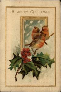 Christmas Birds Holly Berries Embossed c1910 Postcard