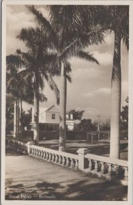 RPPC Postcard Royal Palms Bermuda