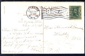 A Bright and Happy Christmas Birds Scene