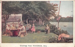 LPS58 Wakeman Ohio Summer Picnic Postcard