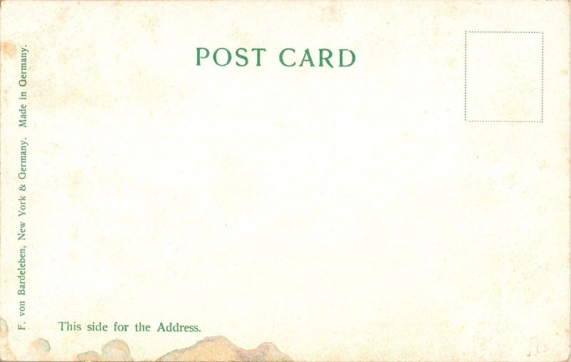 The Forty Steps Newport RI Undivided Back Vintage Postcard L48