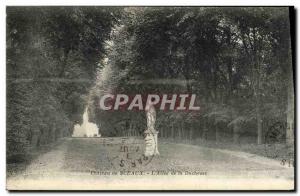 Old Postcard Chateau de Sceaux Allee The Duchess