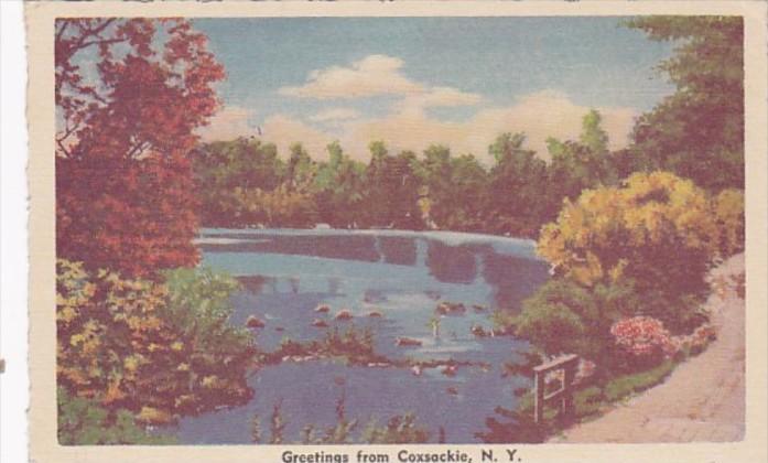 New York Greetings From Coxsackie 1960 Dexter Press