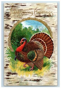 c.1910 Turkey Embossed Thanksgiving Vintage Postcard P51 