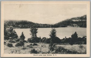 ANDES NY PERCH LAKE ANTIQUE POSTCARD