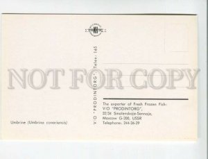 471309 USSR advertising of frozen fish for export Prodintorg Umbrine Old