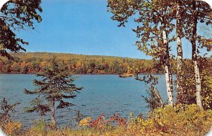  - Land O Lakes, Wisconsin WI  