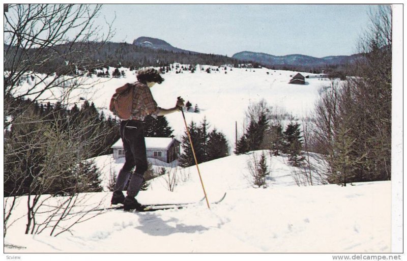 A Scenic View From One Of The Many Cross Country Ski Trails, Ste-Agathe-des-M...