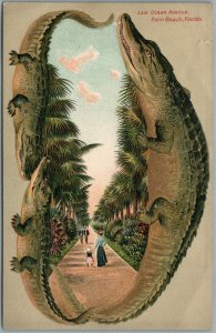 PALM BEACH FL OCEAN AVE. ALLIGATOR BORDERS ANTIQUE POSTCARD