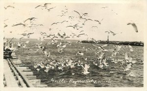 Postcard RPPC Michigan 1929 Rogers City Seagulls 23-4015