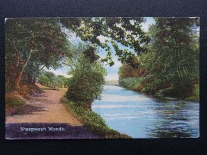 Devon SHEEPWASH WOODS & VIADUCT - Old Postcard by Shurrey