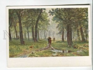 483354 USSR 1959 year artist Shishkin rain in the oak forest IZOGIZ postcard