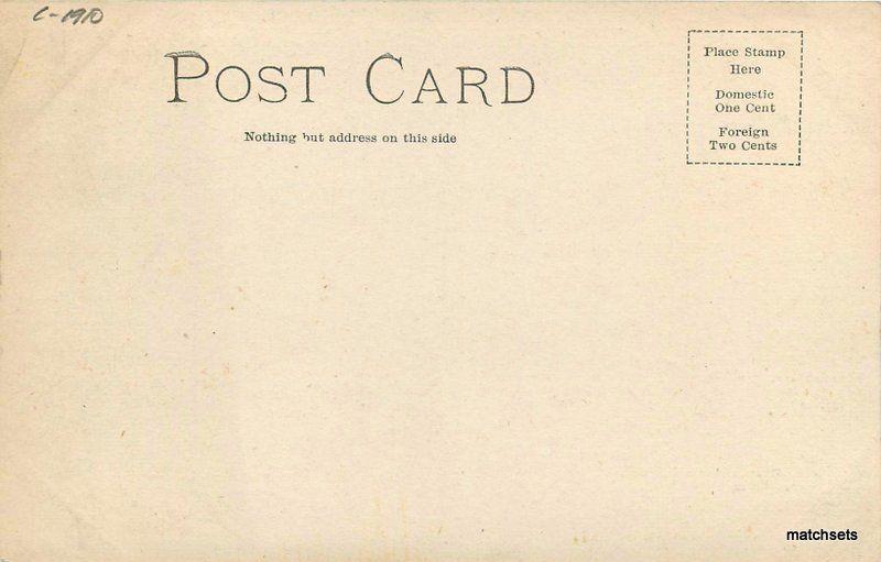 C-1910 Pekin Illinois Court Street Teich undivided postcard 9251