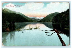 1909 Cedar Lake Washington WA Posted Antique Postcard 