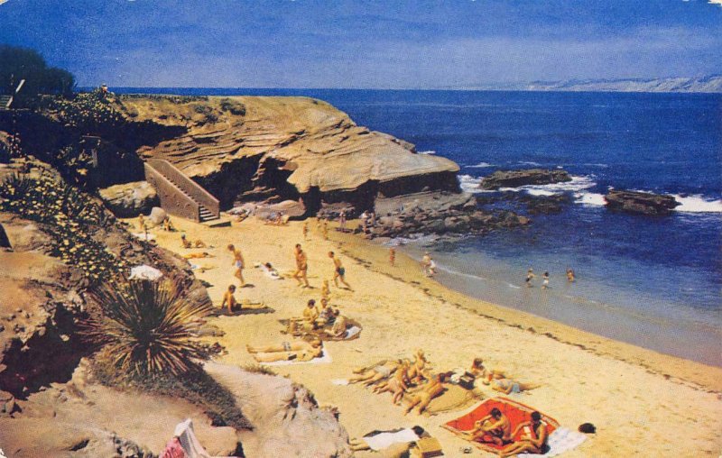 The Cove LA JOLLA, CA Beach Scene c1950s Chrome Vintage Postcard