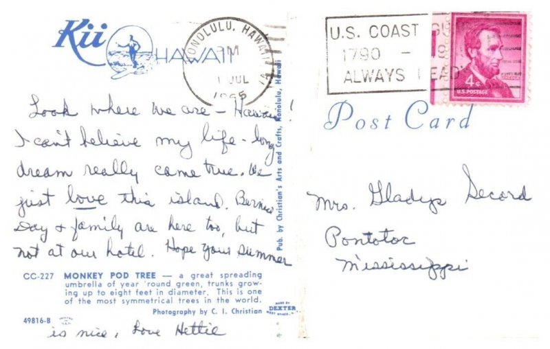 Monkey Pod Tree Honolulu Hawaii Kii Postcard Posted 1965