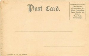 Albany New York c1906 Postcard The Capitol Building