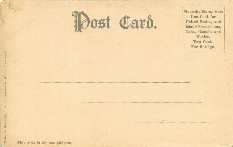 Albany New York c1906 Postcard The Capitol Building