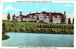 Postcard MUSEUM SCENE Memphis Tennessee TN AI2099